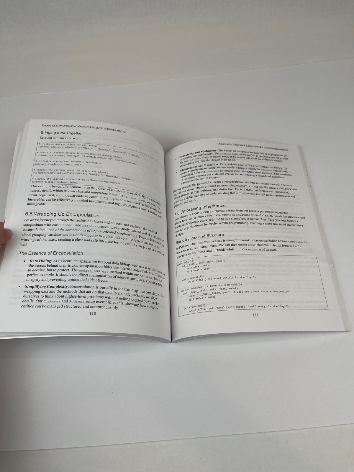 Absolute Beginner’s Guide to Python Programming: Master Coding 2025 edition Hale