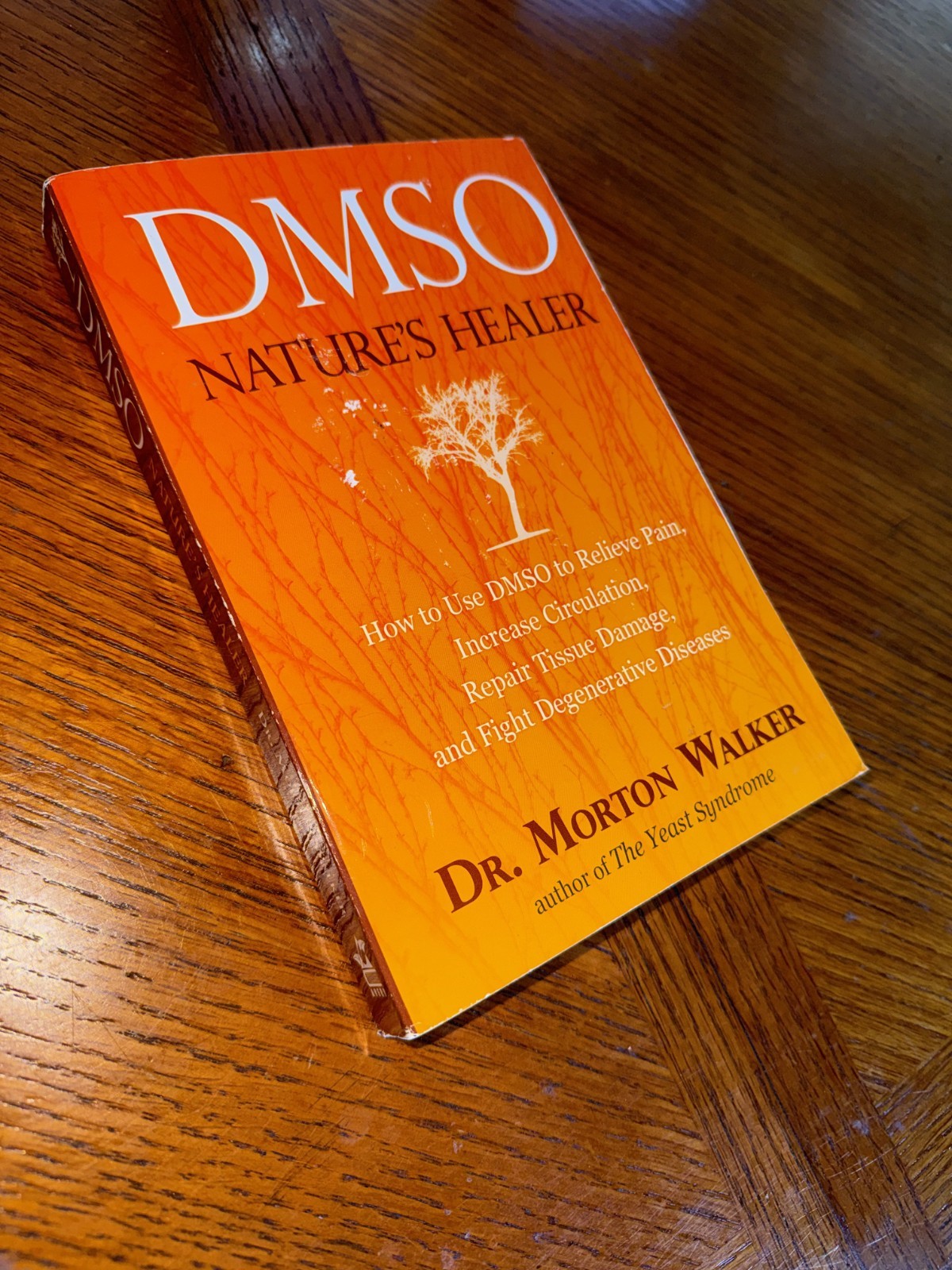 Dmso : Nature’s Healer by Morton Walker (1993, Uk-B Format Paperback)