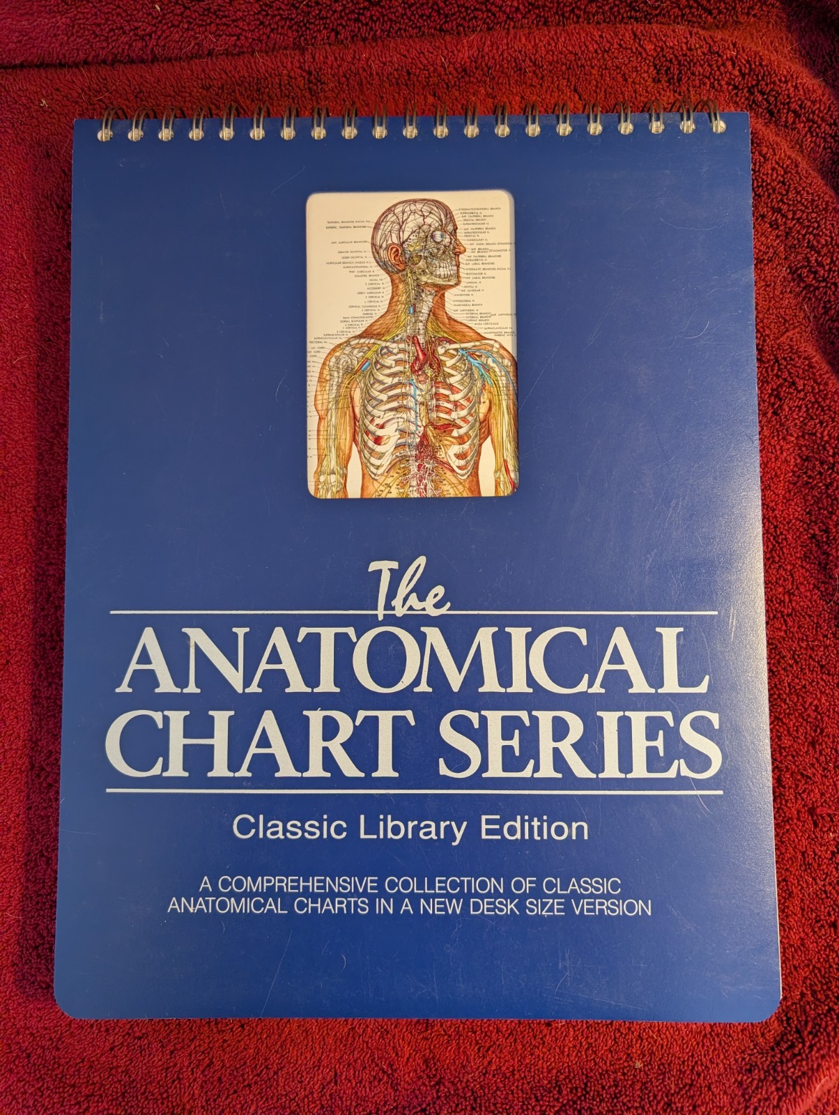The Anatomical Chart Series Classic Library Edition 11×15 –Laminated Pages