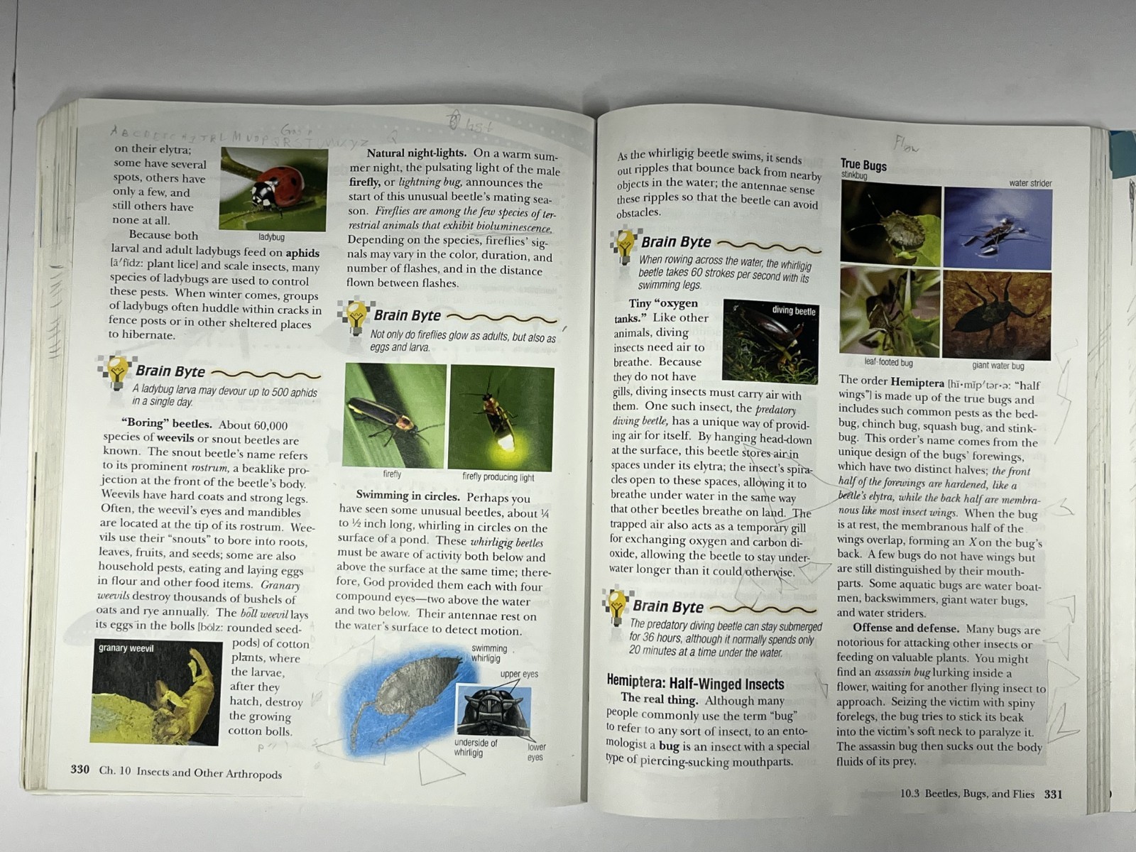 Abeka Science Order & Design textbook homeschool 7th grade