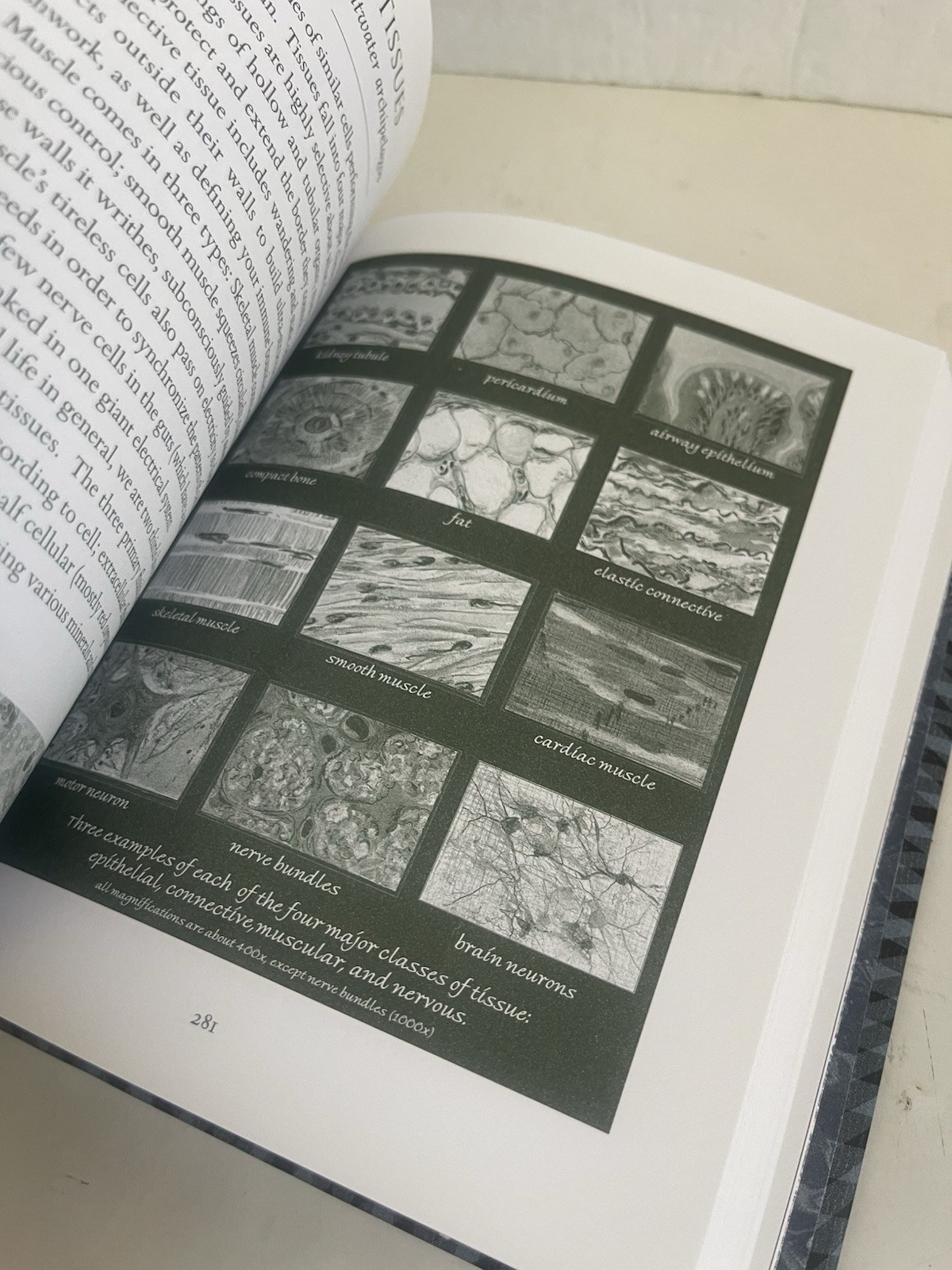 Wooden Bks.: Sciencia: Mathematics, Physics, Chemistry, Biology, and Astronomy