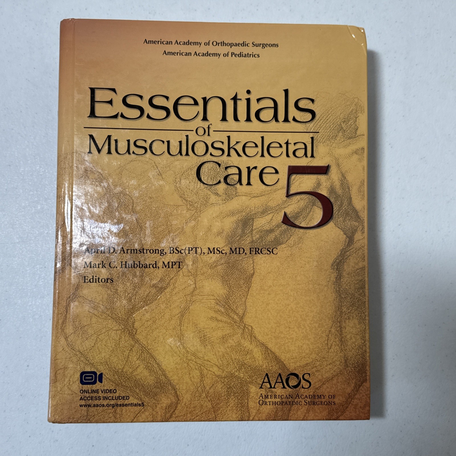 ESSEN OF MUSCULOSKELETAL CARE 5E (AAOS VERSION) GOOD