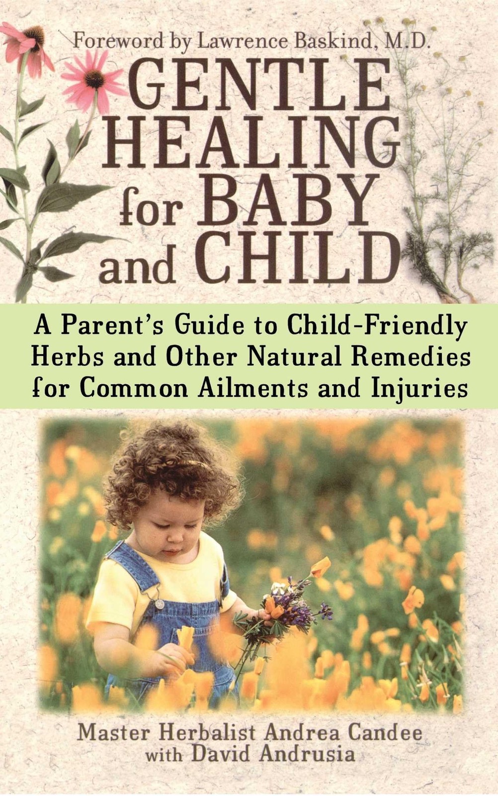 Gentle Healing for Baby and Child: A Parent’s Guide to Child-Friendly Herbs …