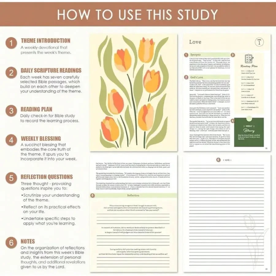 52-Week Women’s Daily Bible Study Plan Spiral-Bound One Year Workbook note book