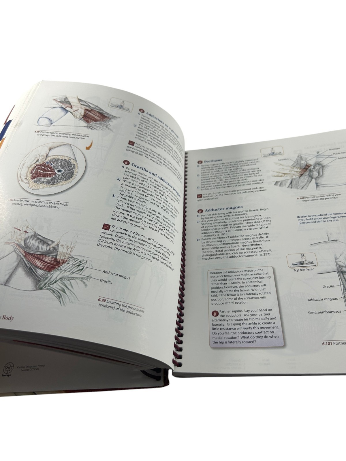Trail Guide to the Body 5th Edition Spiral Andrew Biel Missing 2 CDs
