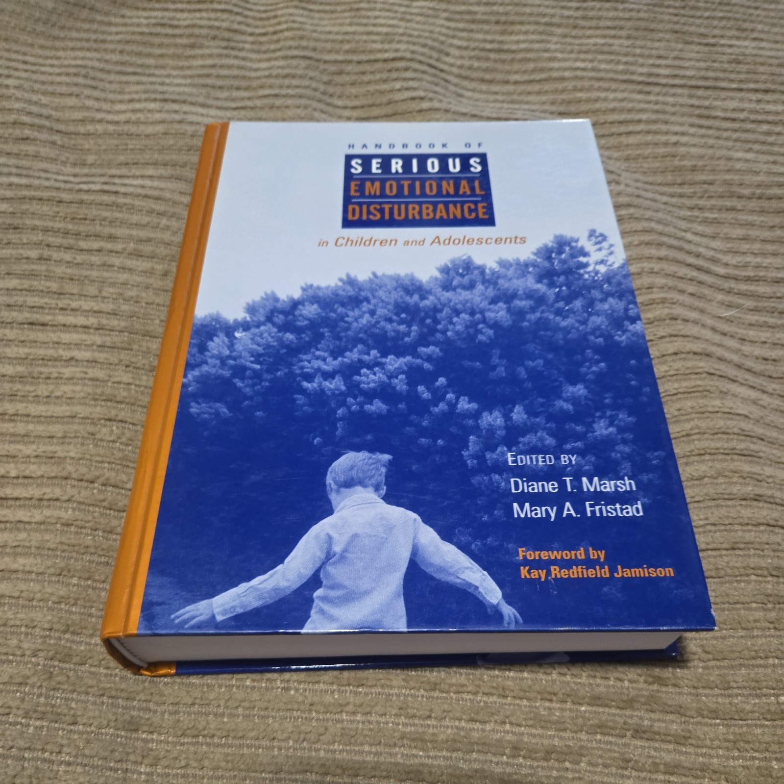 Handbook of Serious Emotional Disturbance in Children and Adolesc