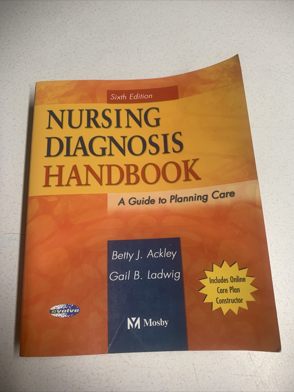 Nursing Diagnosis Handbook : A Guide to Planning Care by Gail B. Ladwig and…