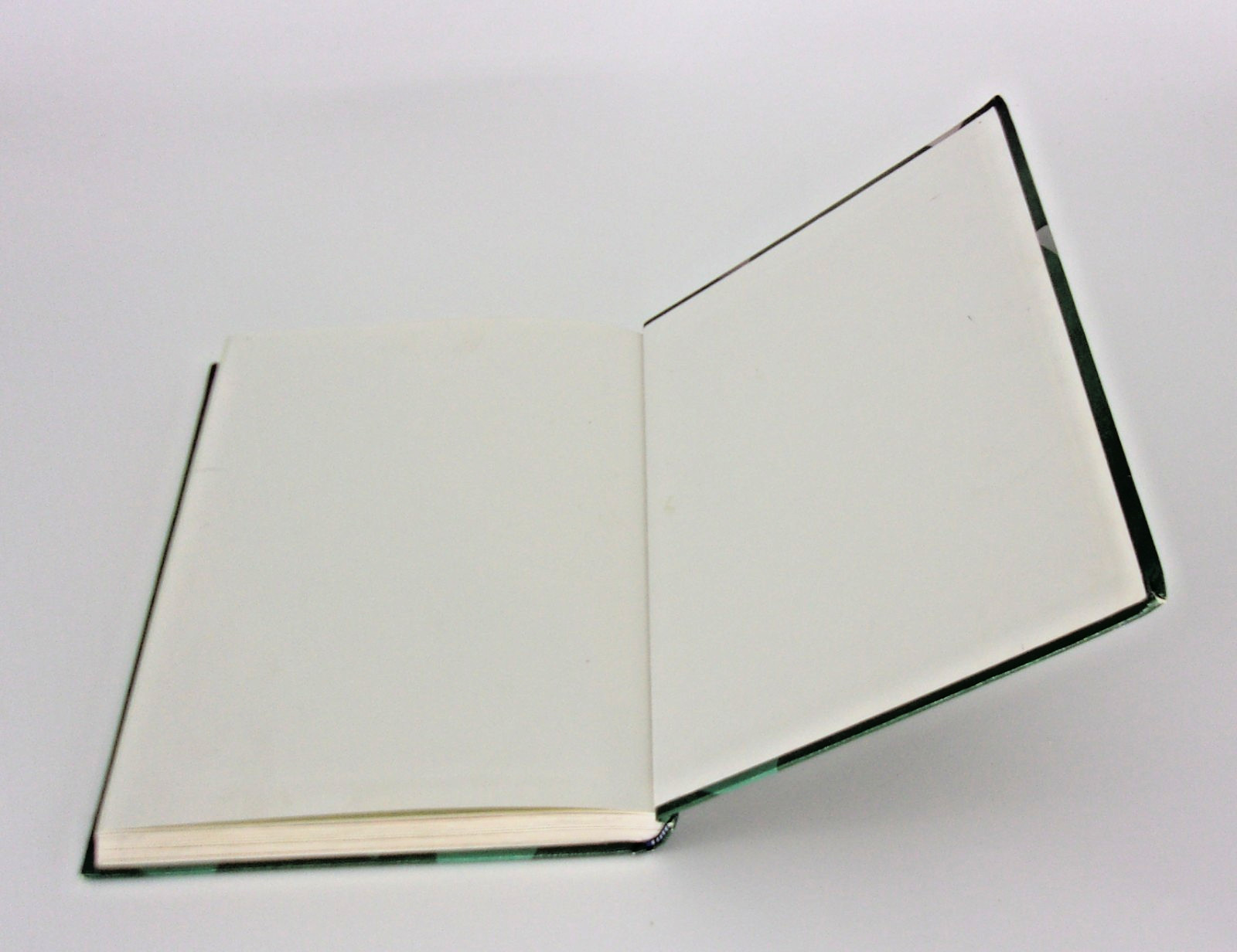 BJU Press- Reading 5 for Christian Pages in My Head Second Edition-Hardcover
