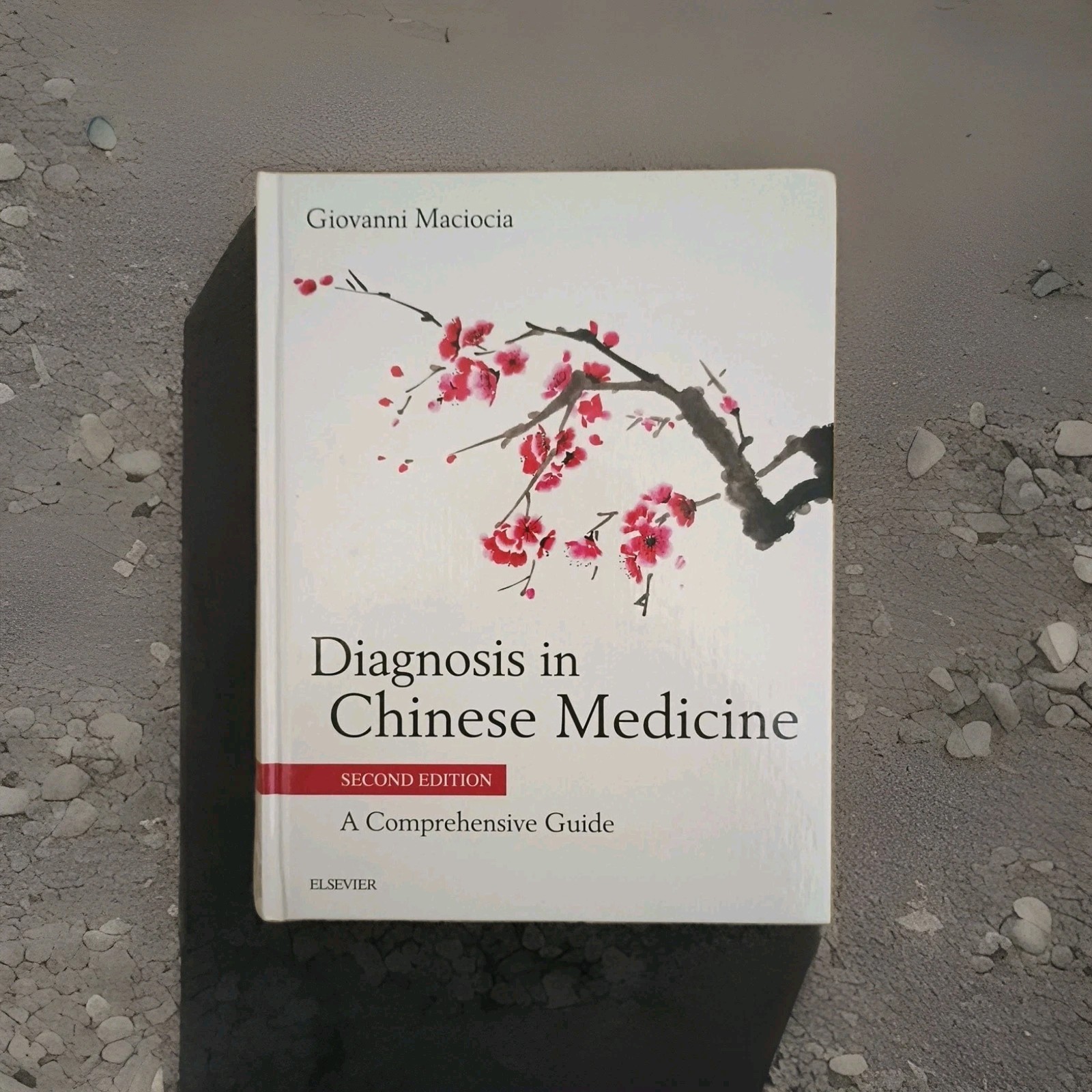 Diagnosis in Chinese Medicine: A Comprehensive Guide by Giovanni Maciocia 2 Ed
