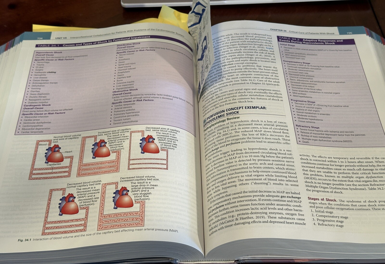 Medical-Surgical Nursing: Concepts for Interprofessional Collaborative Care 10th