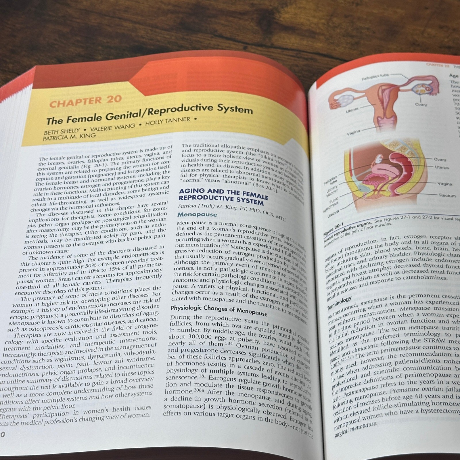Pathology Implications for the Physical Therapist 4th Ed Goodman Fuller Elsevier