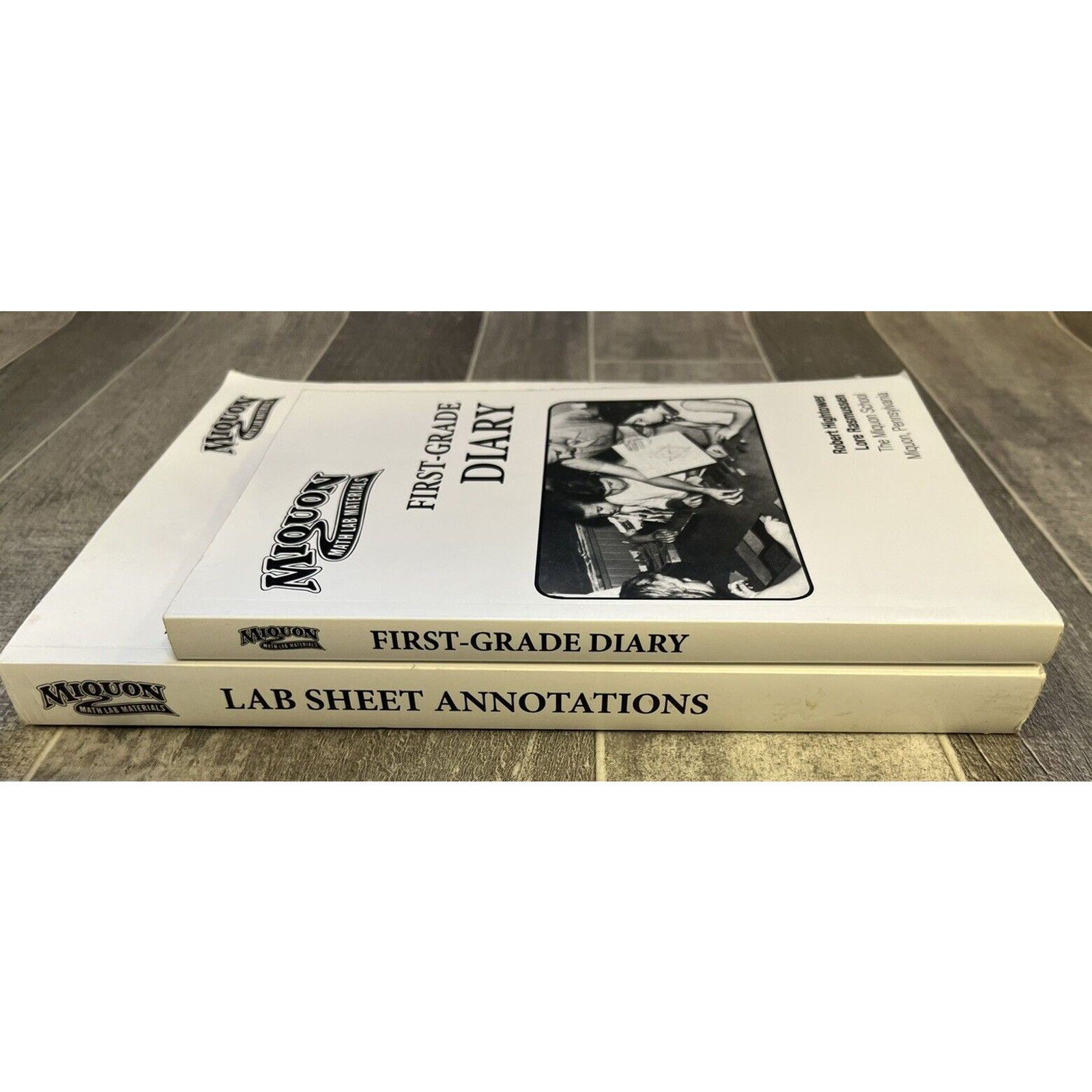 Miquon Math Lab Sheet Annotations and First Grade Diary Homeschool Curriculum