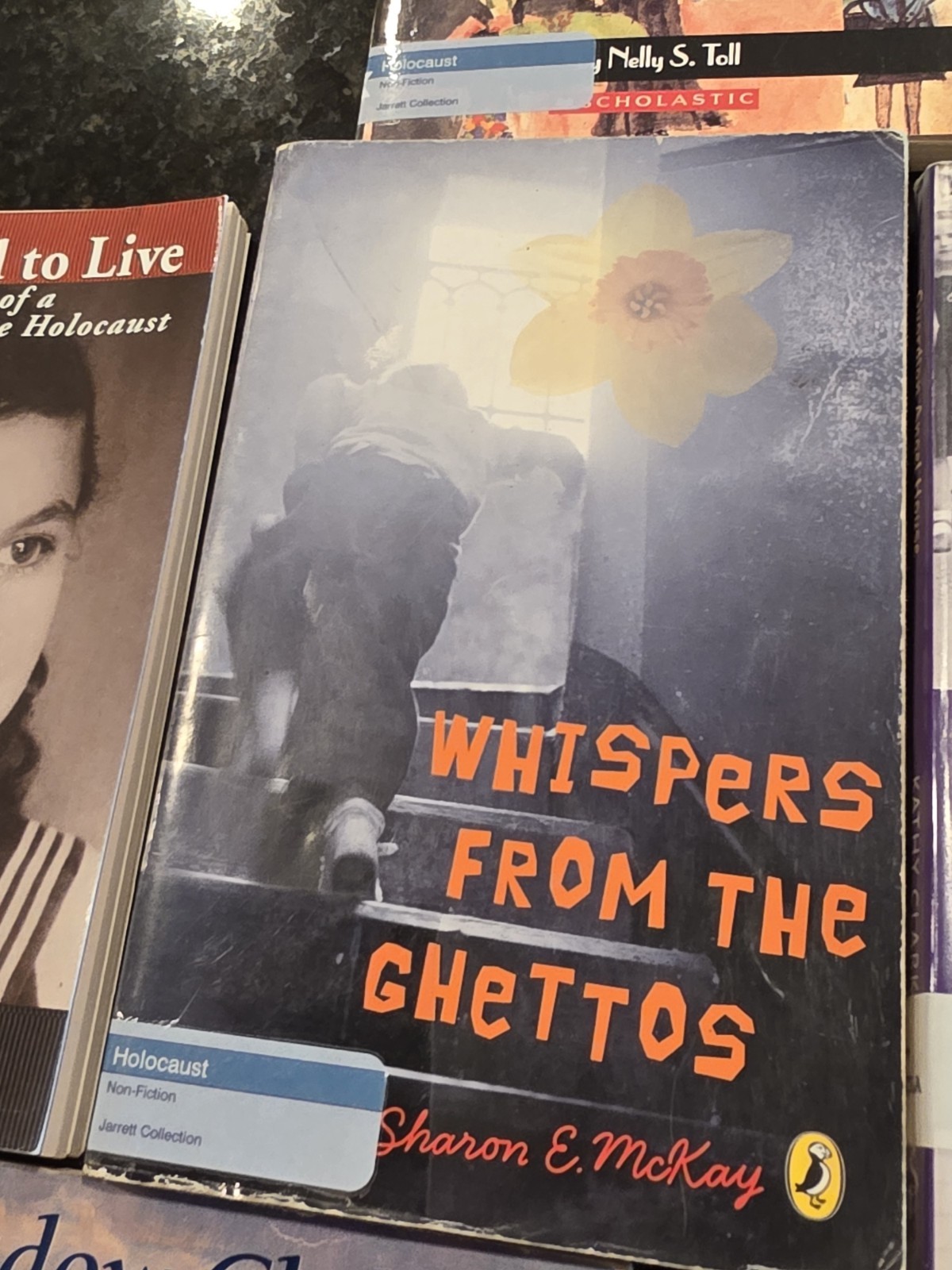 Holocaust Book Collection Classroom Library