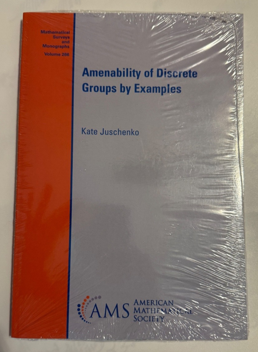 Amenability of Discrete Groups by Examples Kate Juschenko Vol. 266 Paperback