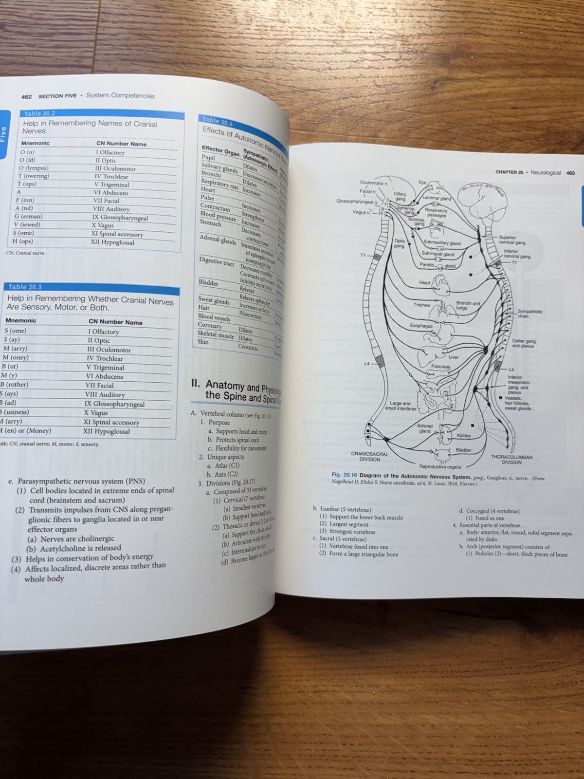 PeriAnesthesia Nursing Core Curriculum: Preprocedure, Phase I and Phase II P…