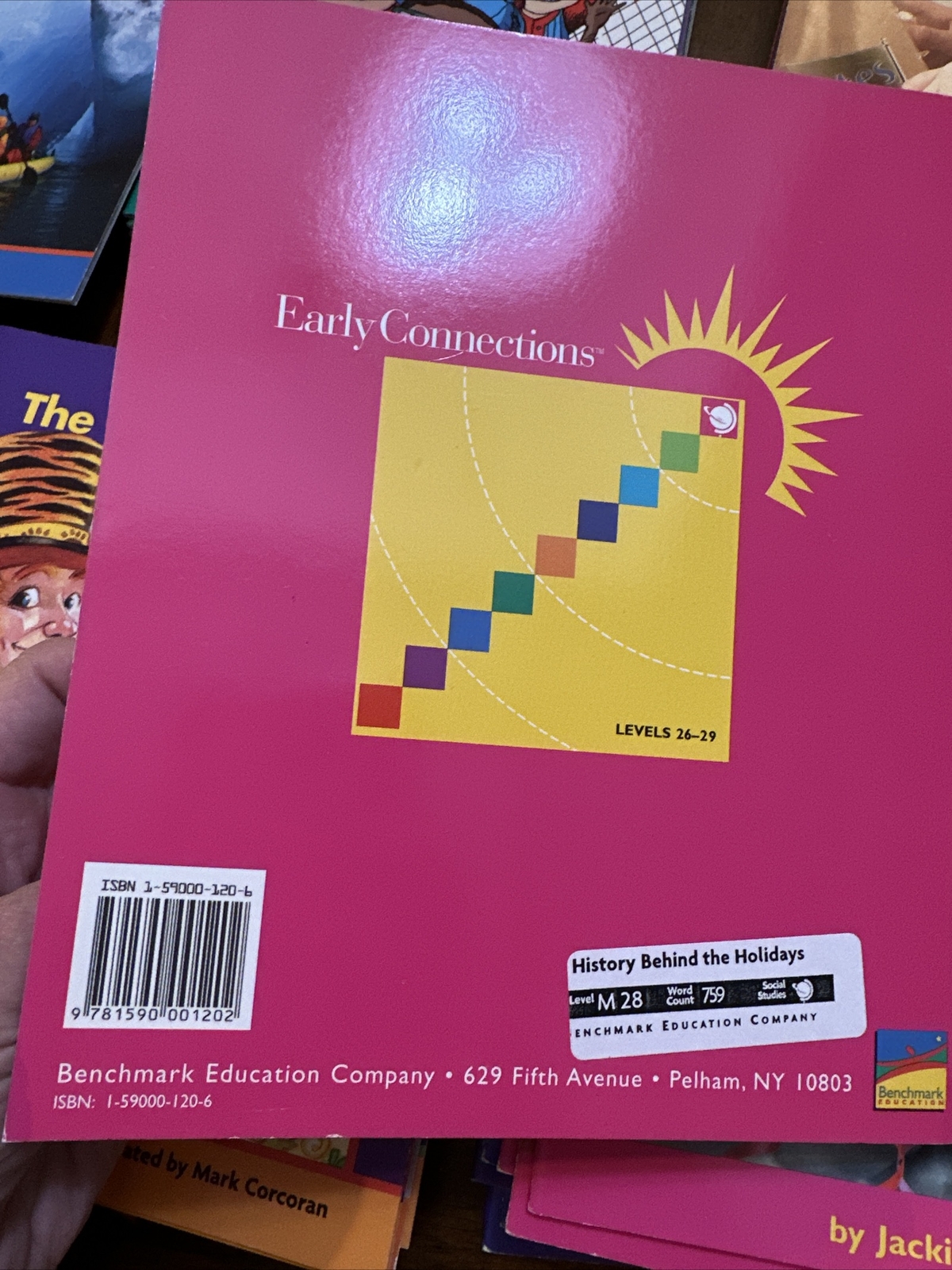 Lot Of 80 Leveled Readers F-M Benchmark Education Early Connections Homeschool