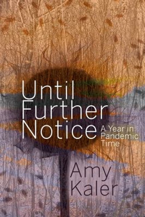 Until Further Notice : A Year in Pandemic Time Paperback Amy Kale