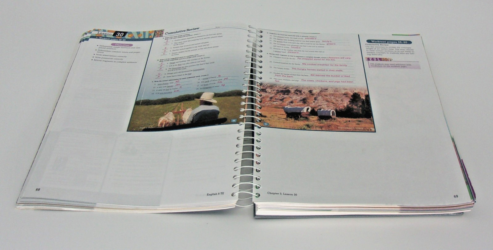 Teacher’s Edition English 6 Writing and Grammar-Second Edition-200535, No CD
