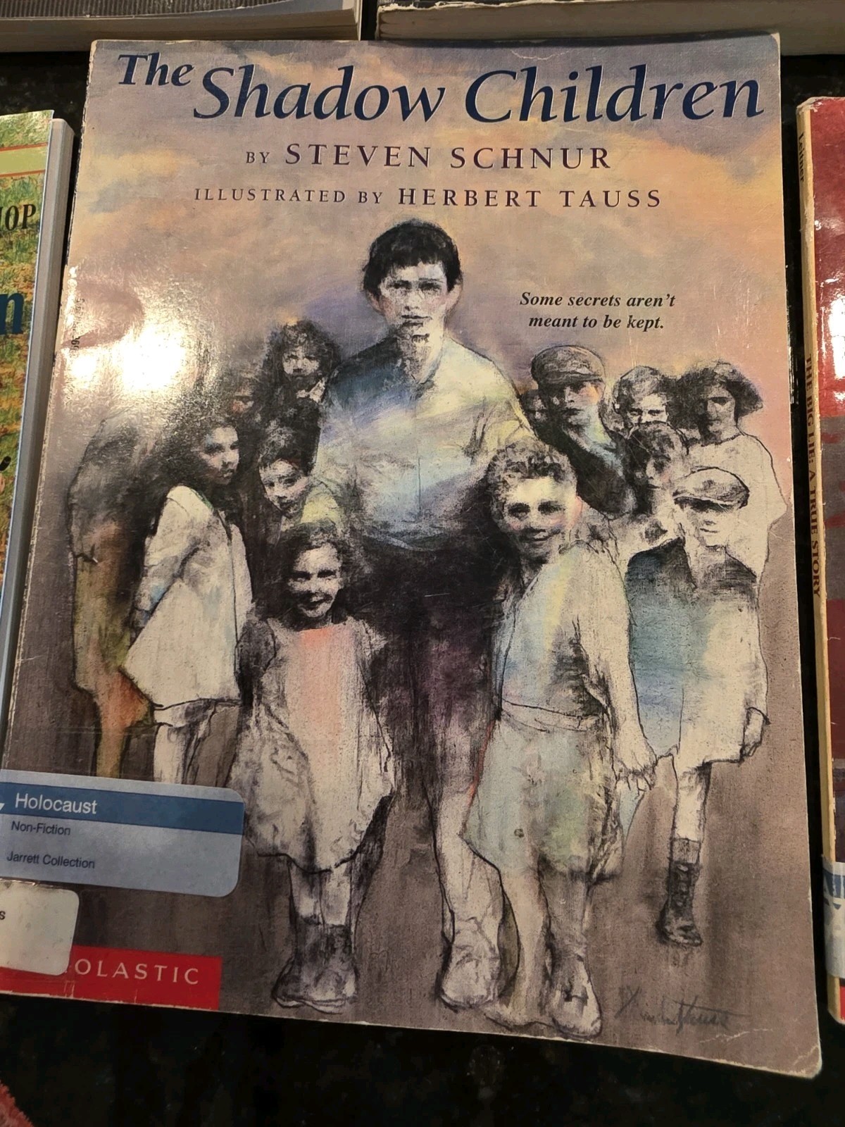 Holocaust Book Collection Classroom Library