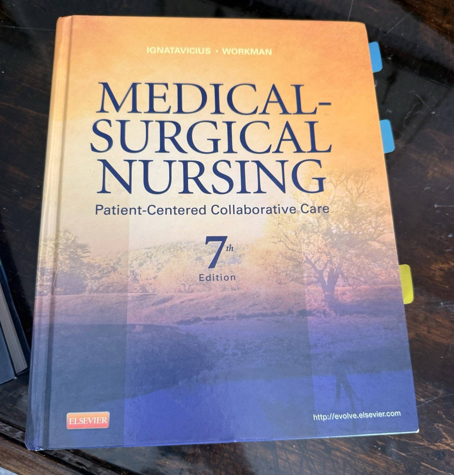 Med Surg Nursing Bundle Lewis 12th & 7th Ed + Study Guide + Q&A Review + Notes