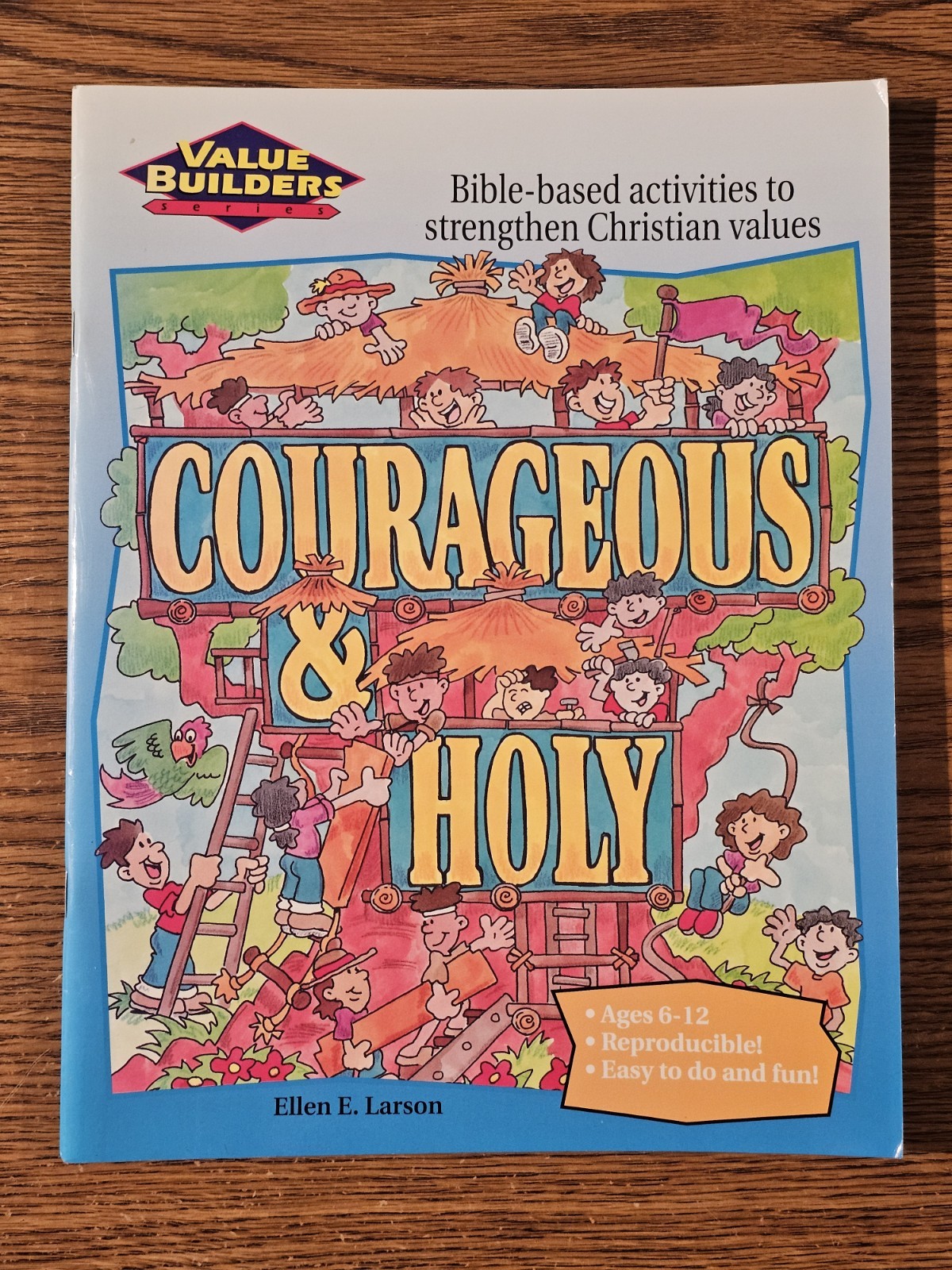 Courageous & Holy by Ellen Larson, Bible-Based Ages 6-12. Row M.