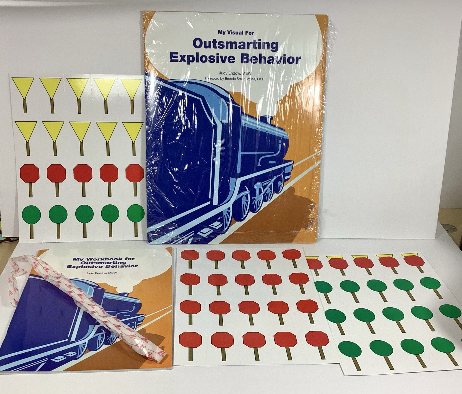 Outsmarting Exploding Behavior AUTISM Judy Endow Visual System Of Support NICE