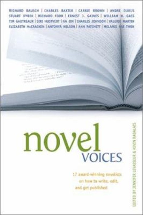 Novel Voices Paperback