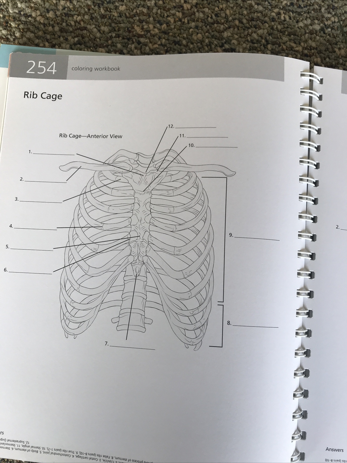 barrons the anatomy students self test visual dictionary 304pages 2011 1st editi