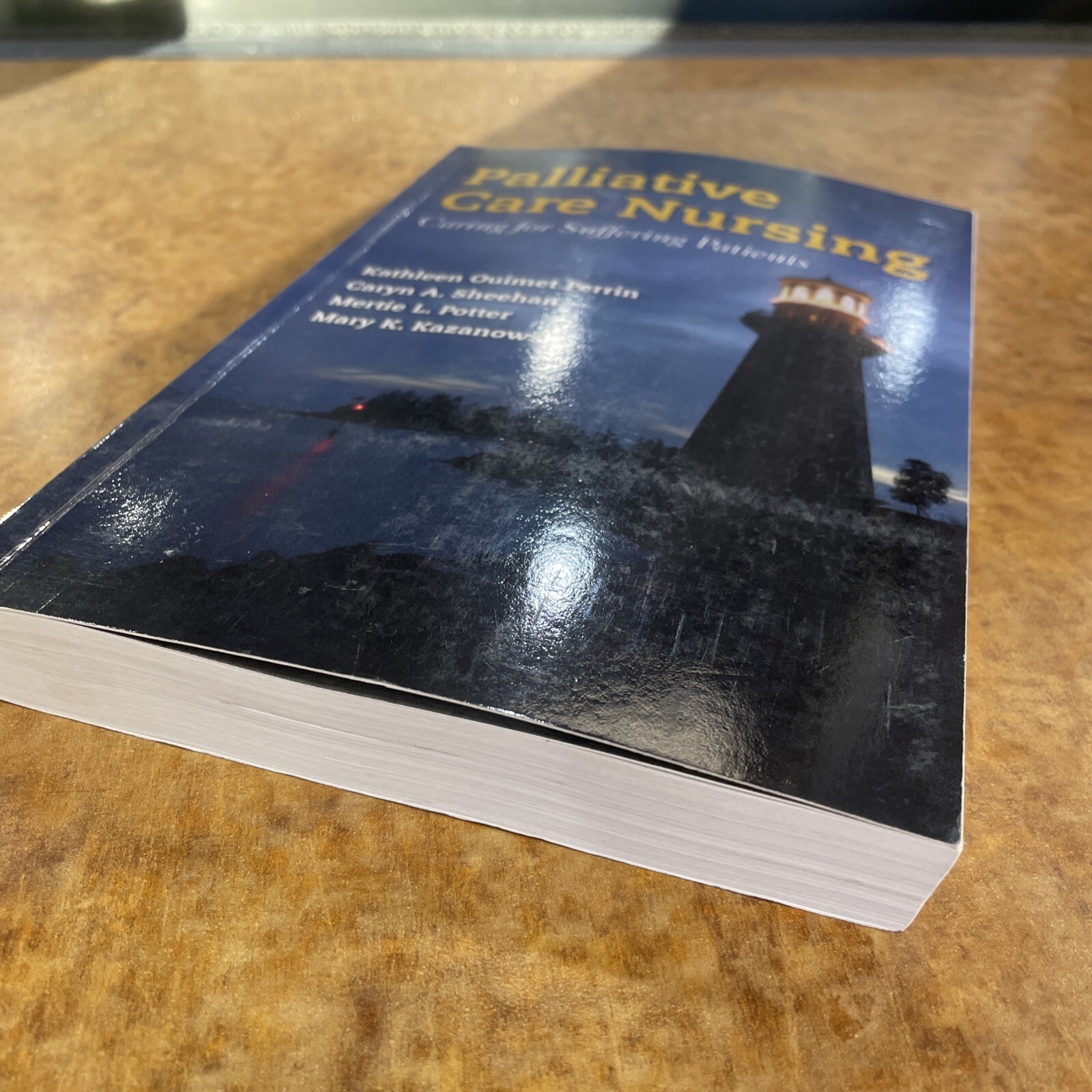 Palliative Care Nursing: Caring for Suffering Patients – Paperback – Very Good