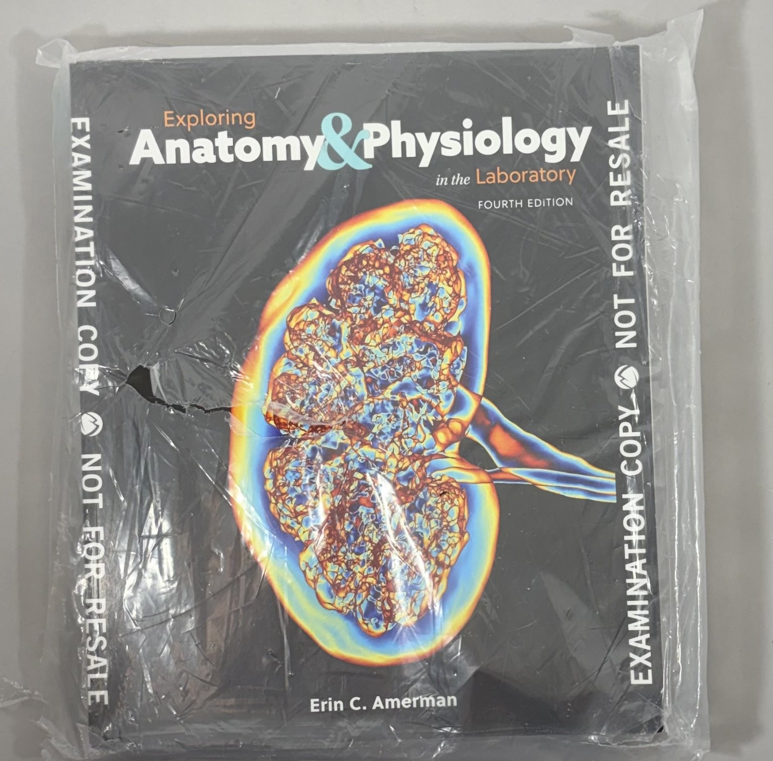 Exploring Anatomy & Physiology in the Laboratory Amerman Textbook Science 4th Ed