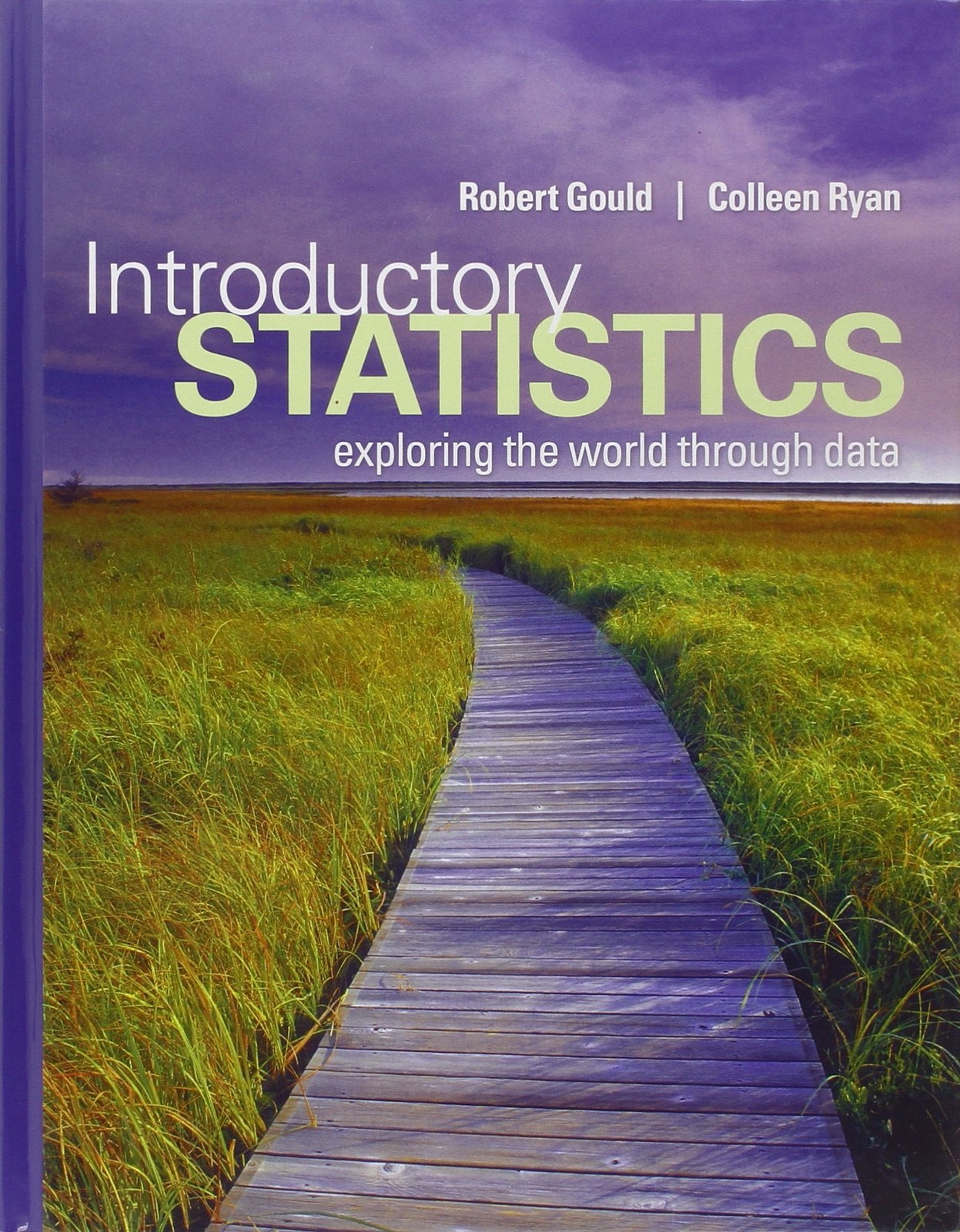 Introductory Statistics: Exploring the World Through Data