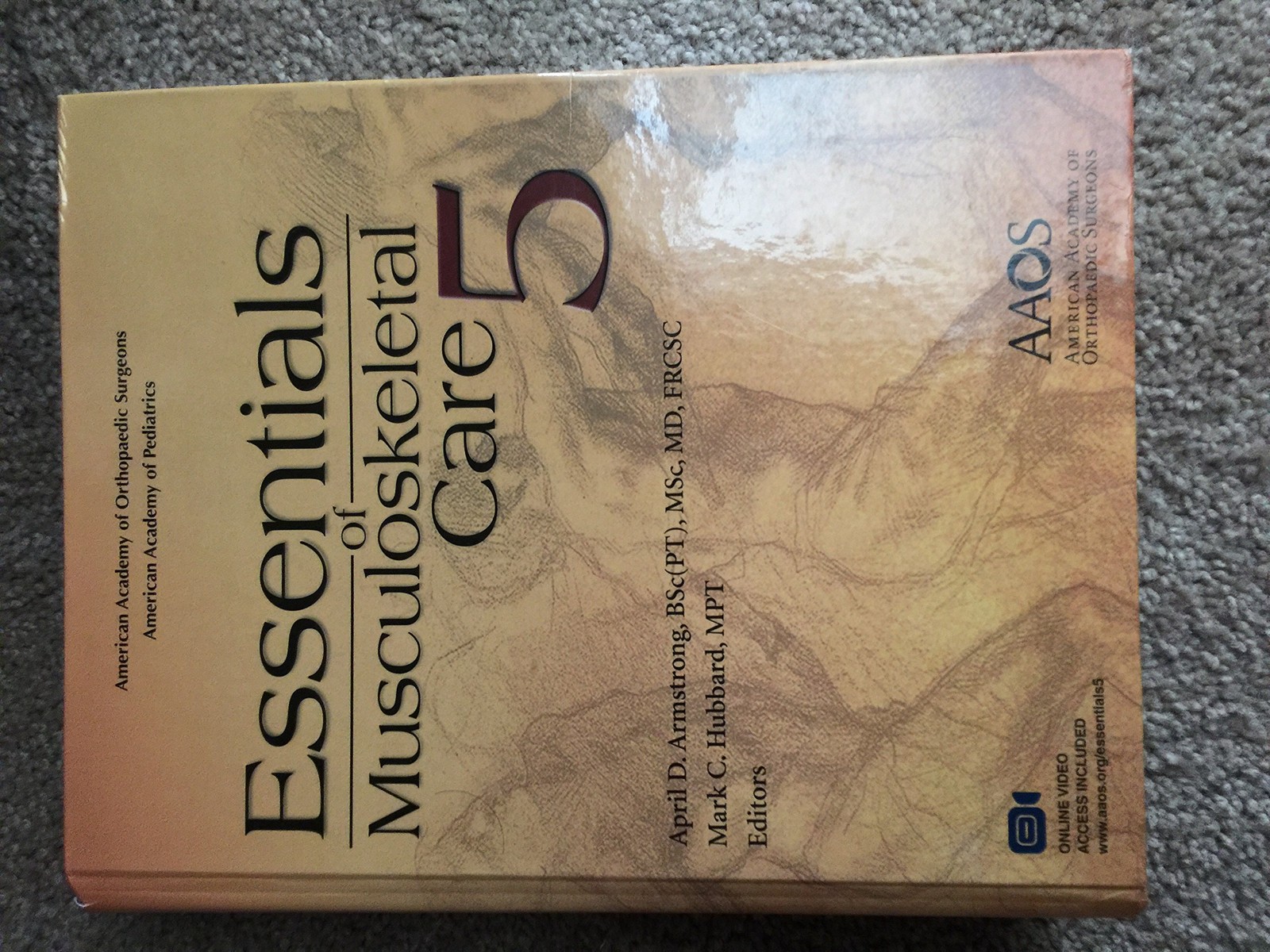 ESSEN OF MUSCULOSKELETAL CARE 5E (AAOS VERSION): .
