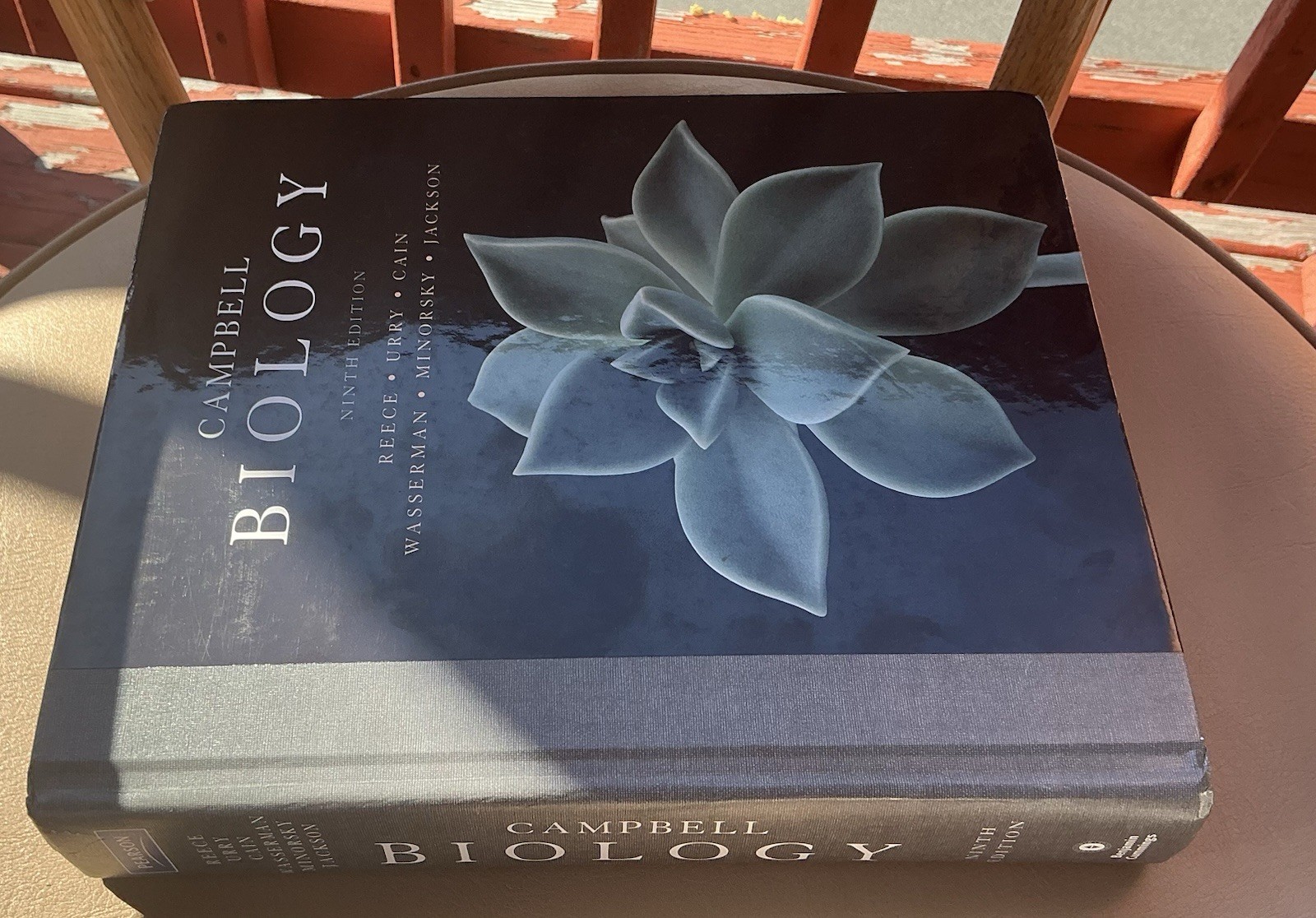 Campbell Biology by Peter V. Minorsky, Robert B. Jackson, Michael L. Cain, Lisa