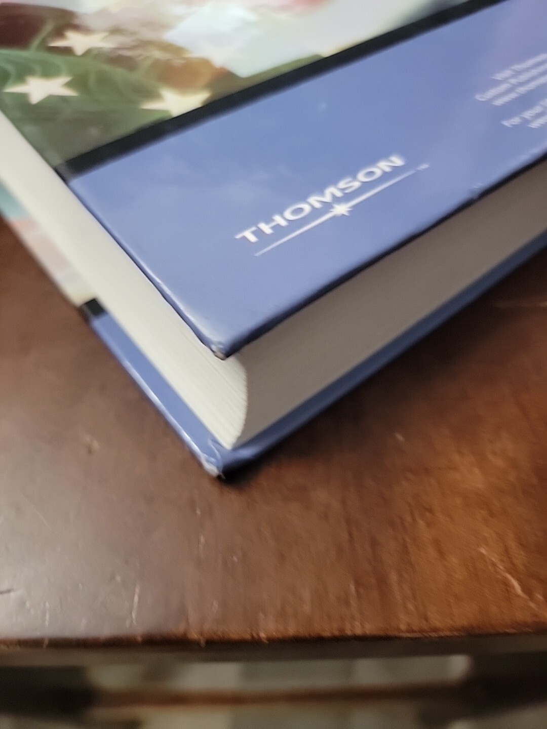 Consumer Economic Issues In America 8th Edition E. Thomas Garman Thompson 2003
