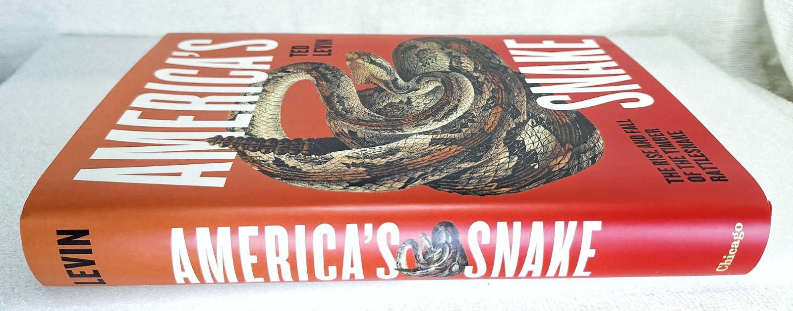 America’s Snake : The Rise and Fall of the Timber Rattlesnake Ted – 1st Edition