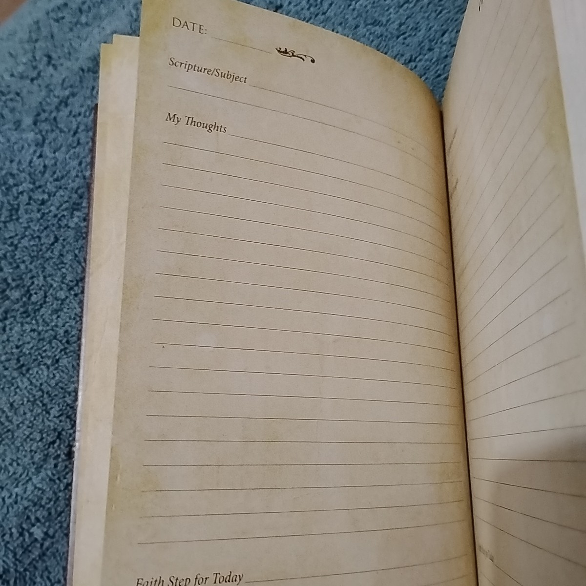 Faith Journal diary hardcover note book 176 pages Daily Bible Reading Christian