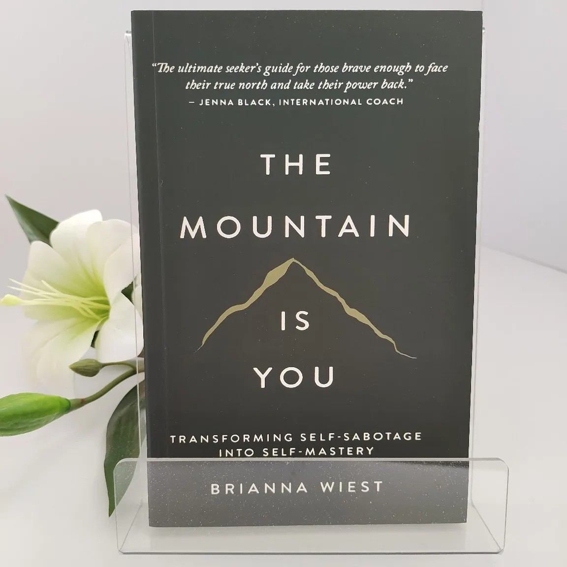 THE MOUNTAIN IS YOU BY BRIANNA WIEST USA stock Fast Shipping Paperback