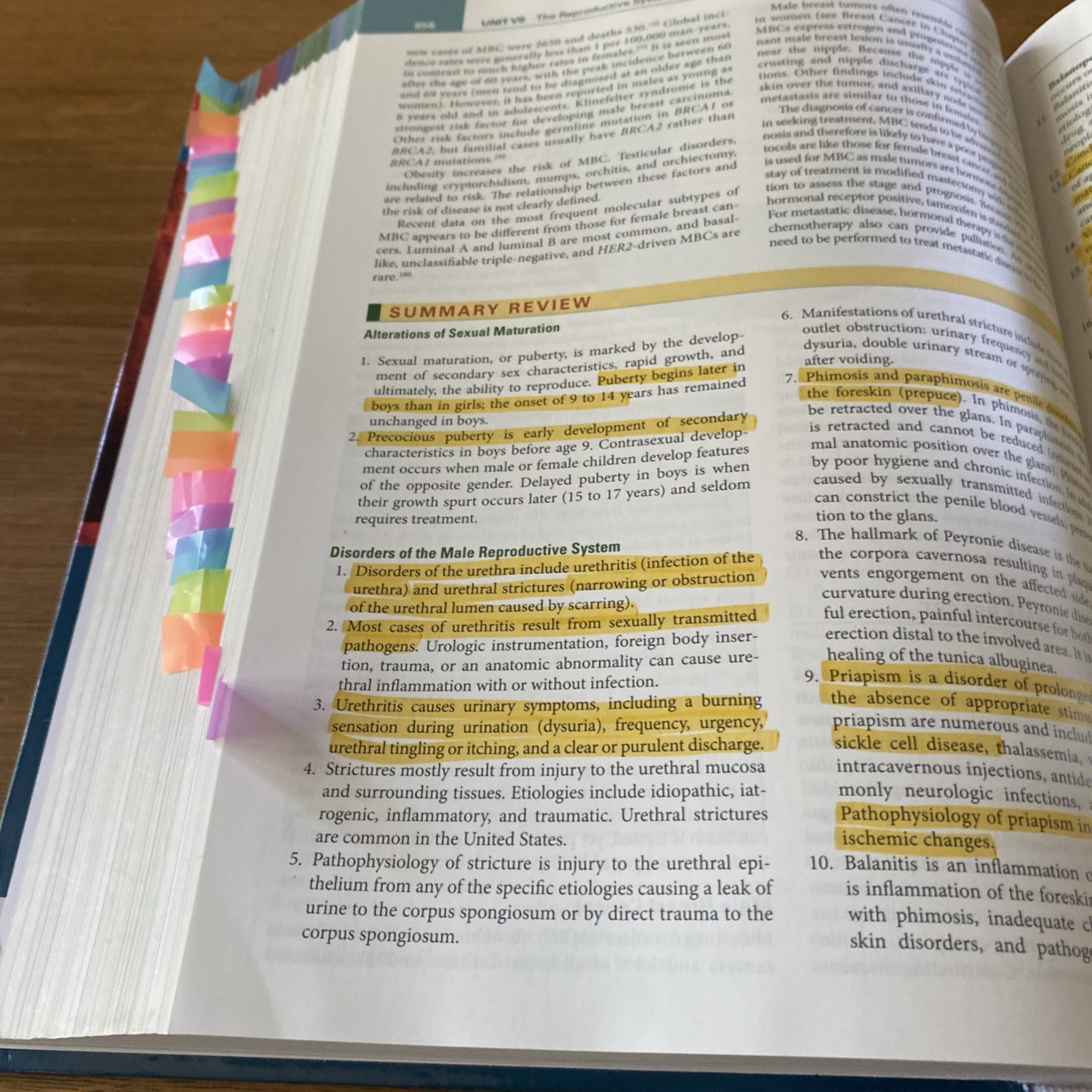 McCance & Huether’s – Hardcover, by Rogers DNP APRN – Very Good