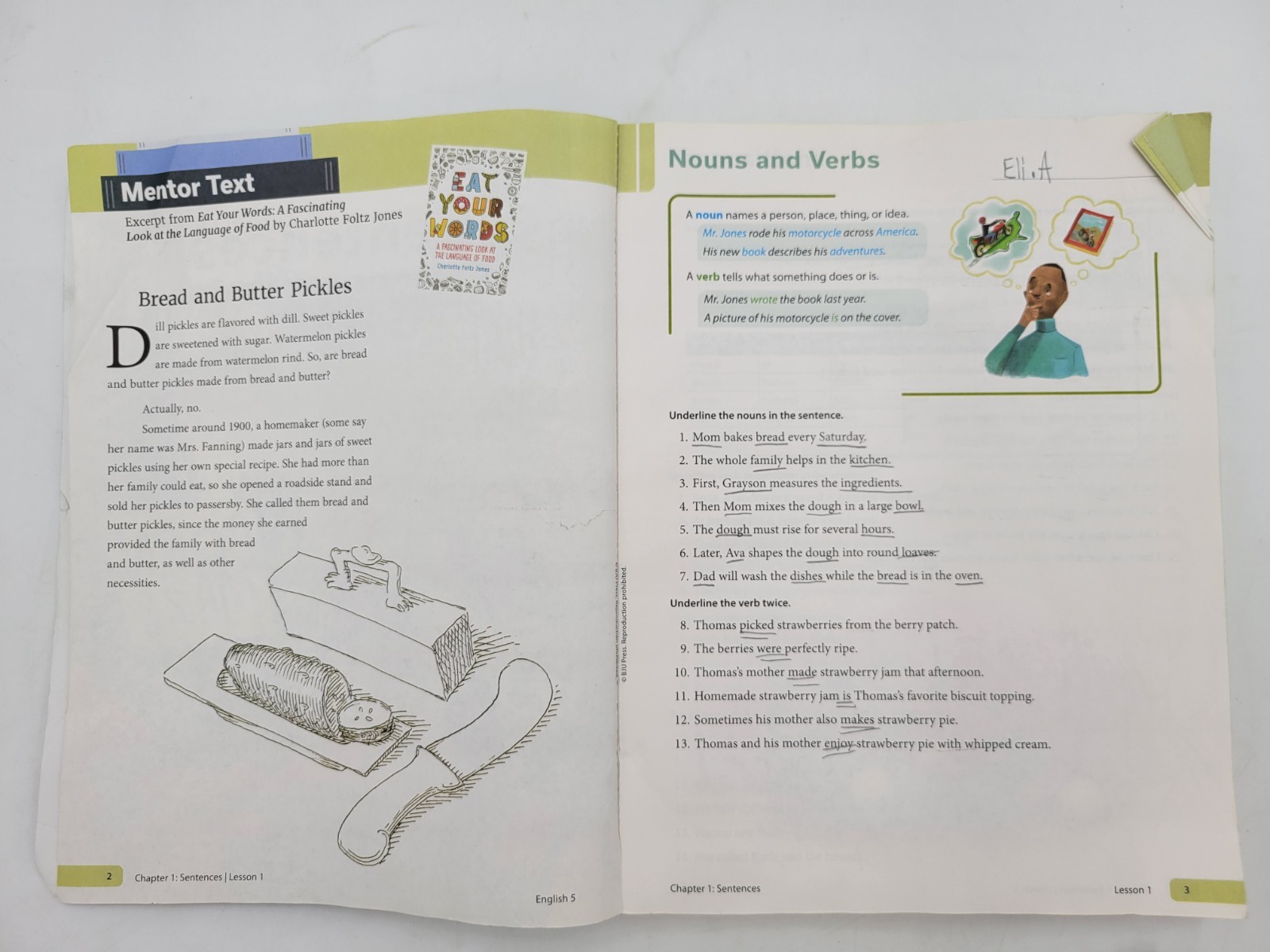 BJU Press English 5 Worktext (3rd edition) 532432 Paperback WITH WRITING