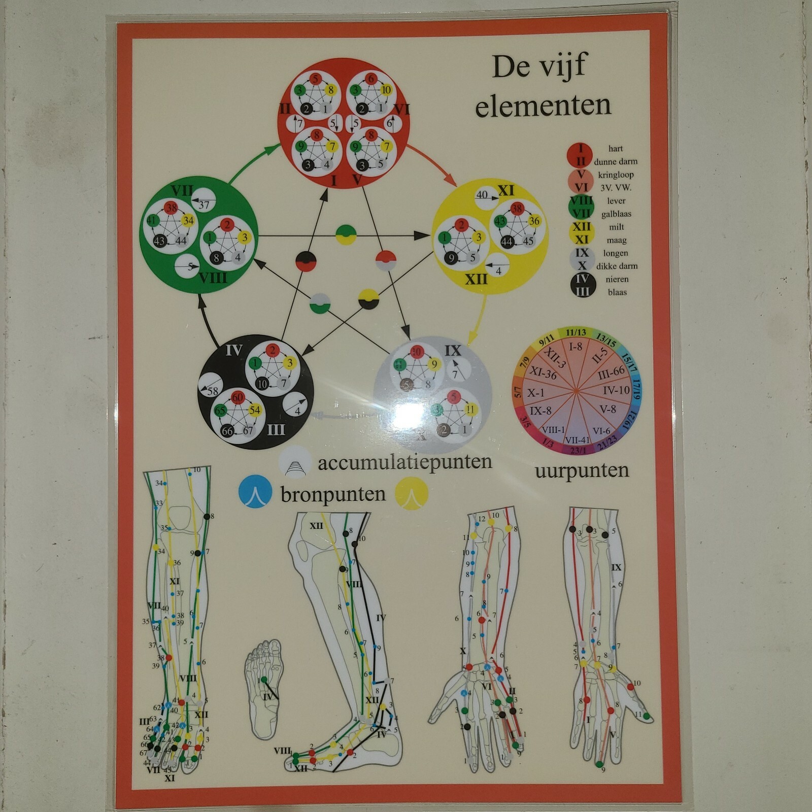 THE FIVE ELEMENTS~Dutch~ Laminated Poster “DE VIJF ELEMENTEN” NEW