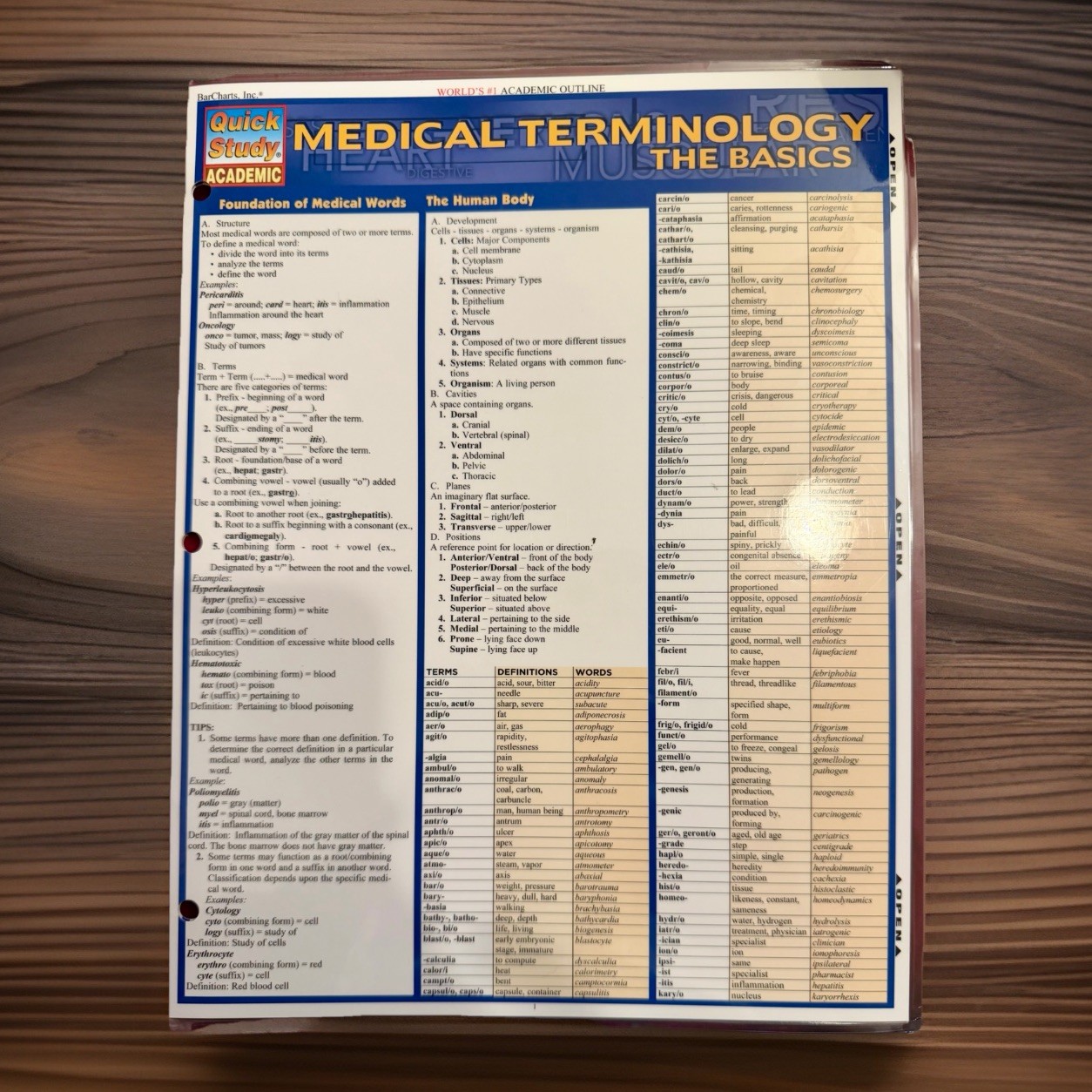 Medical Terminology: the Basics : A QuickStudy Laminated Reference Guide by…