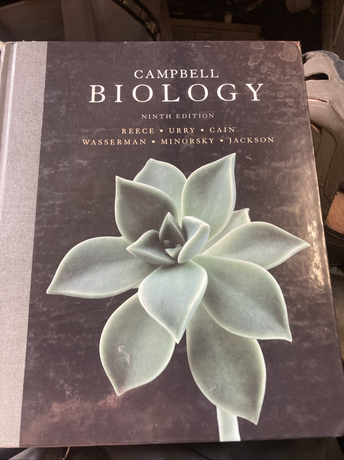 Campbell Biology (9th Edition)