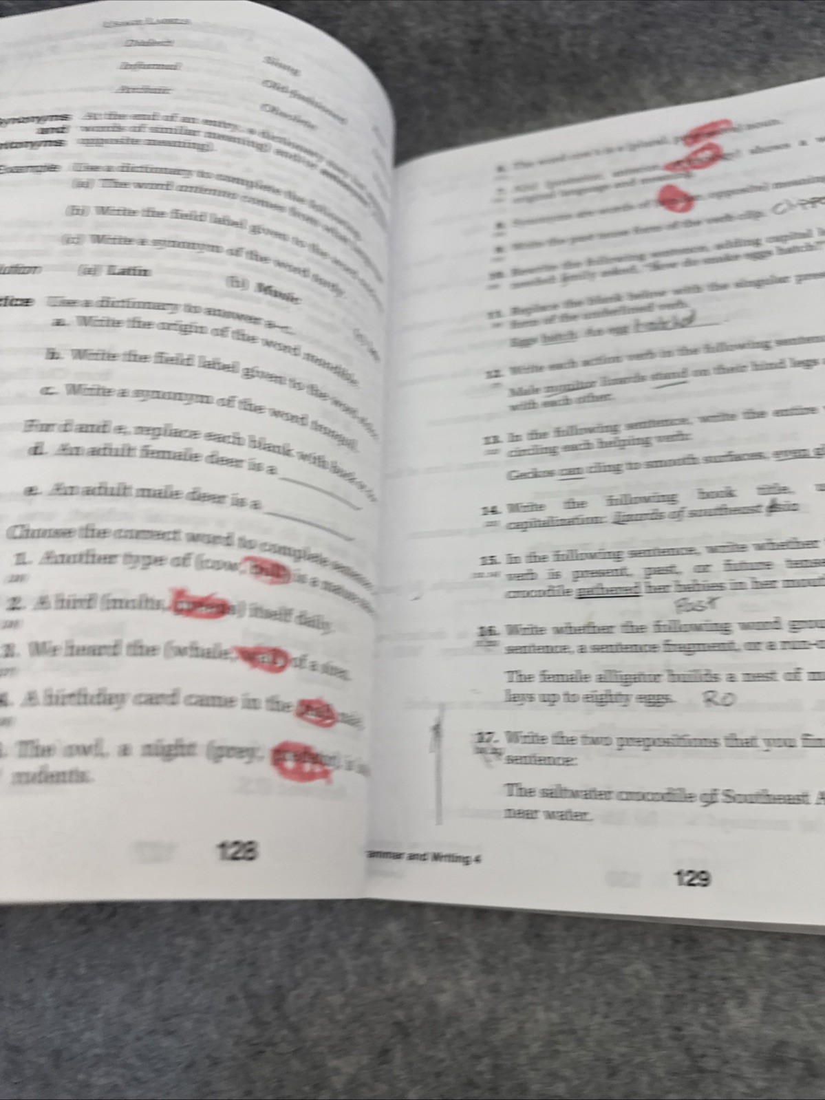 Grammar & Writing Ser.: Saxon Grammar & Writing Grade 4 Student Textbook by Text
