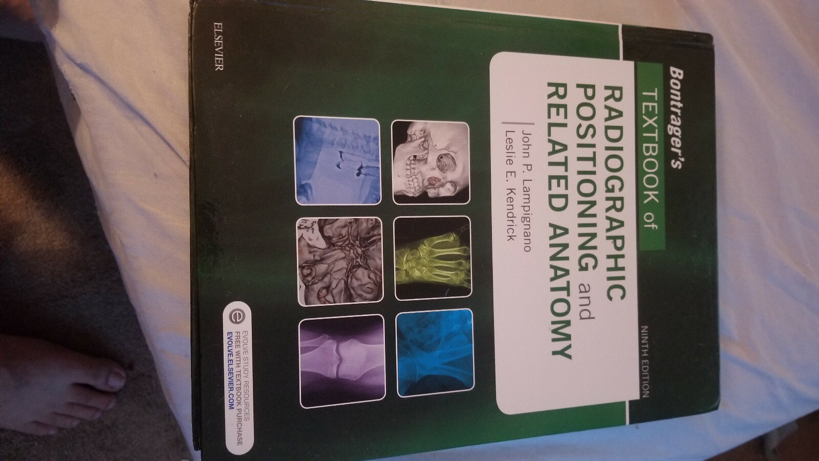 Bontrager’s Textbook of Radiographic Positioning and Related Anatomy by Leslie E