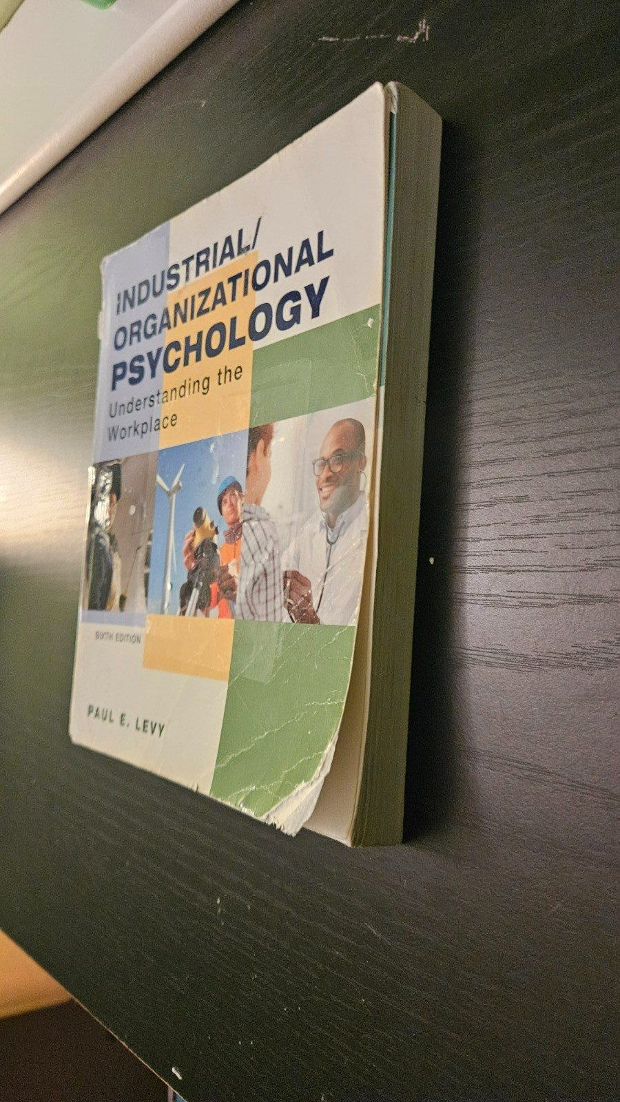 Industrial/Organizational Psychology: – Paperback, by Levy Paul – Acceptable