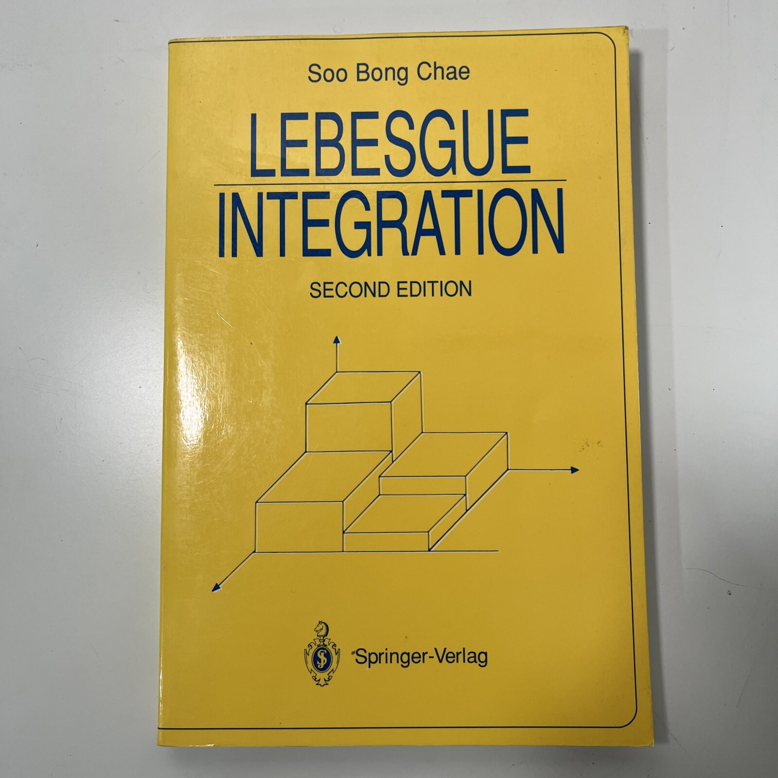 Lebesgue Integration, Paperback by Chae, Soo Bong, 2nd Edition Springer – Verlag