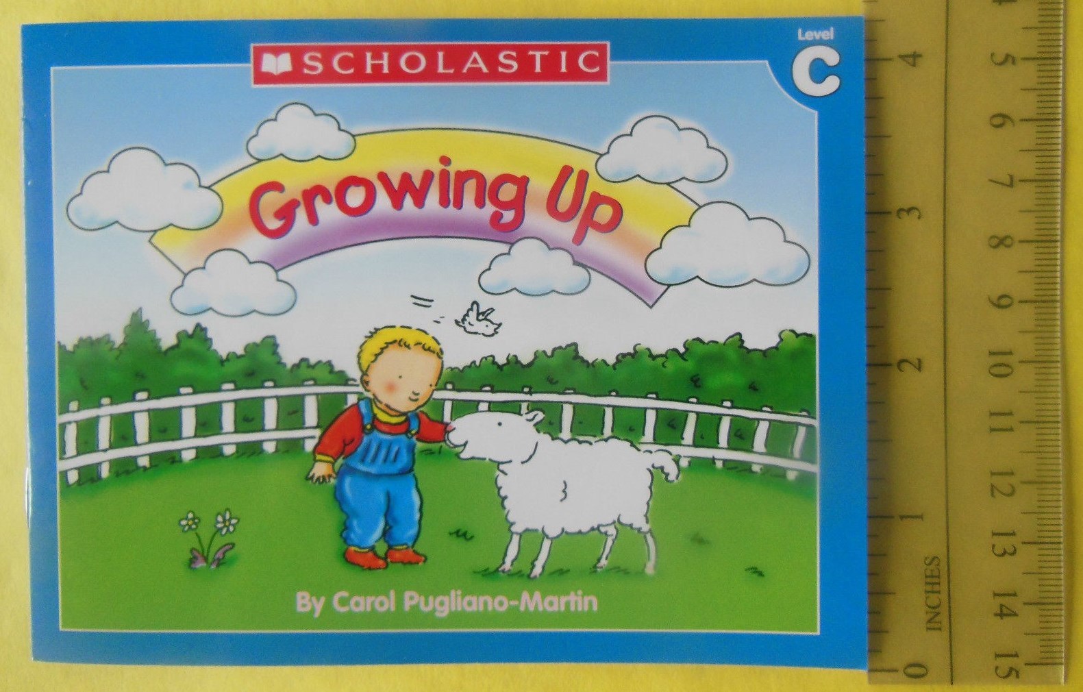 Childrens Books Phonics Set First Little Kindergarten Grade Homeschool Lot 60