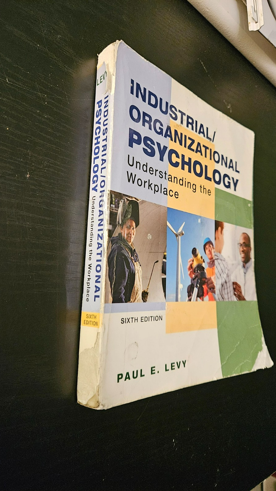 Industrial/Organizational Psychology: – Paperback, by Levy Paul – Acceptable