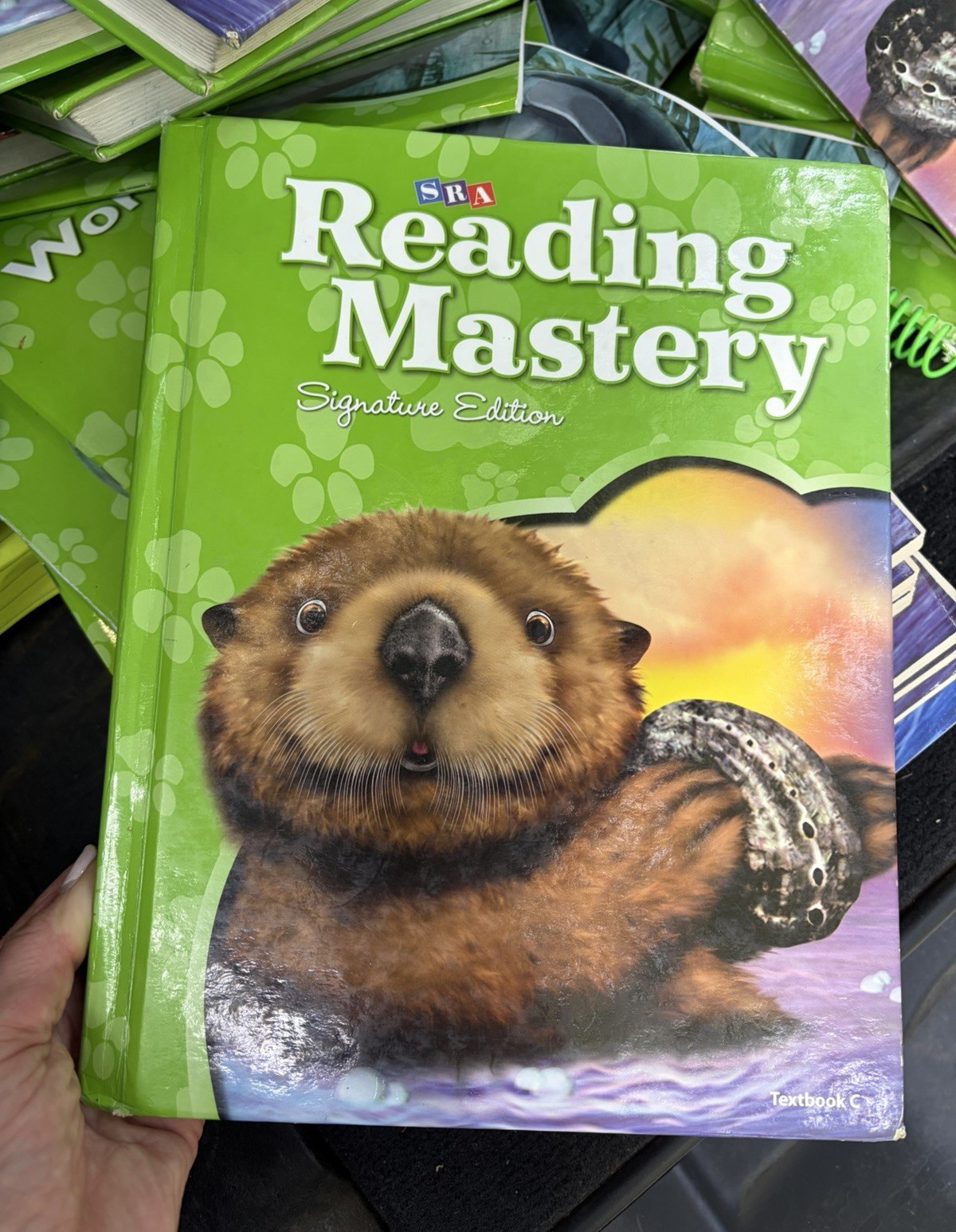 SRA Reading Mastery Signature Edition Textbook Reading Skills (English)
