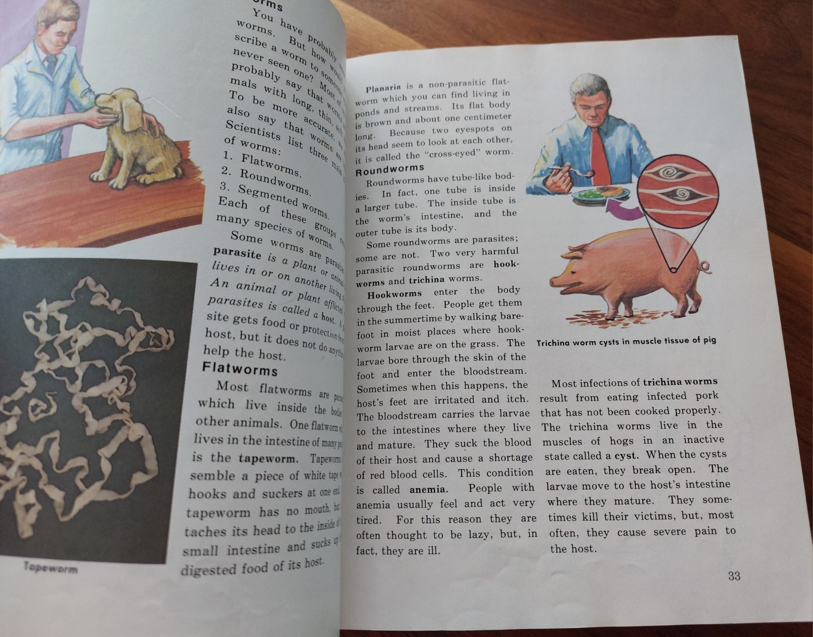 Abeka 5 Science Textbook Vintage 1977 Investigating God’s World